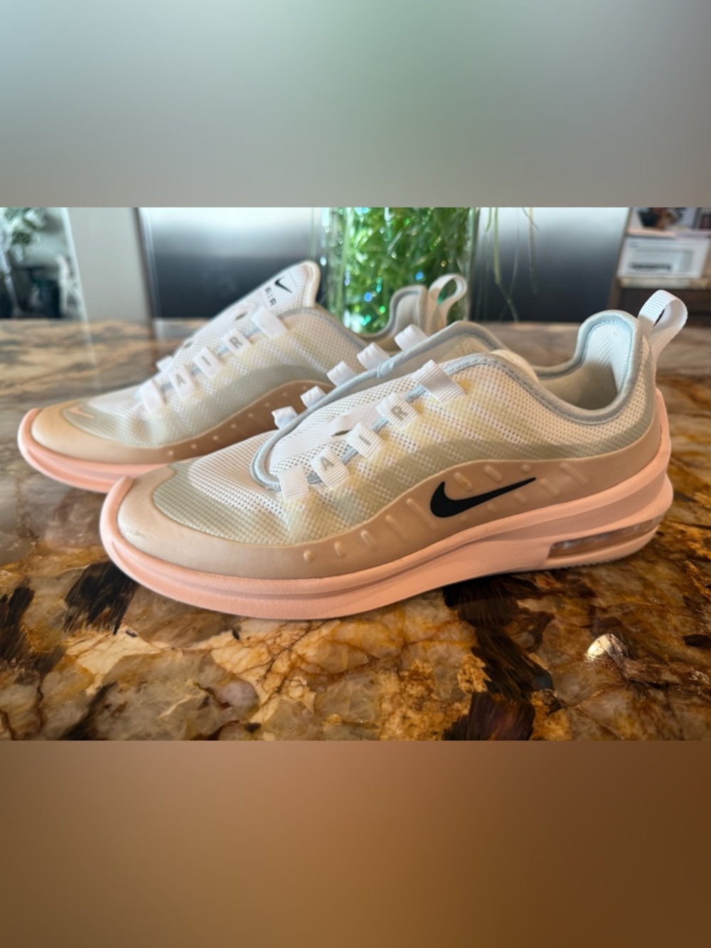 Nike Air Max Sneakers